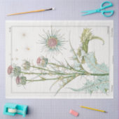botanische thistel tissuepapier (Craft)