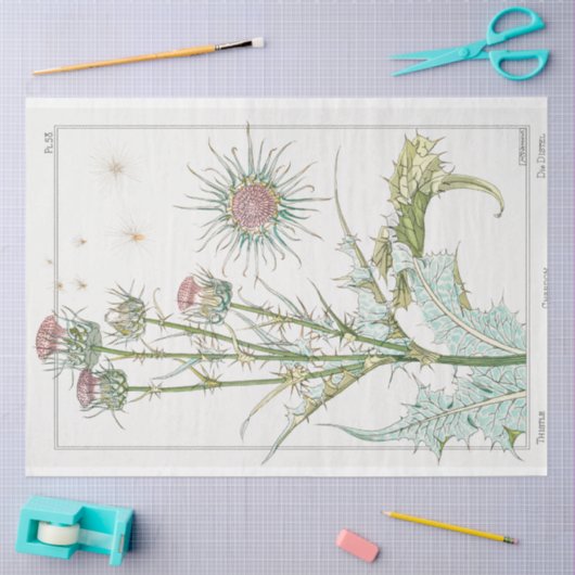 botanische thistel tissuepapier (Craft)