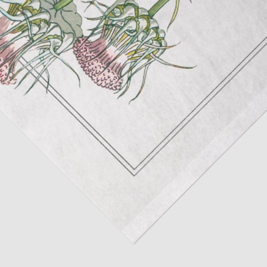 botanische thistel tissuepapier (Detail)