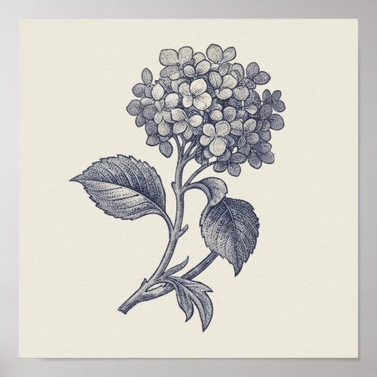 Botanische Toile | Hydrangea Vignette Poster (Voorkant)