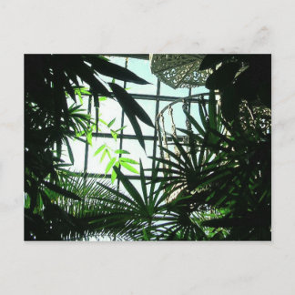 Botanische trappen briefkaart