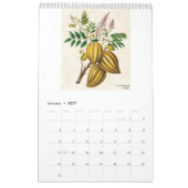  botanische tropische vruchten 2026 kalender (Jan 2027)