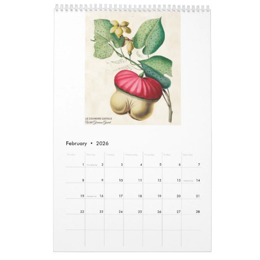  botanische tropische vruchten 2026 kalender (Feb 2026)