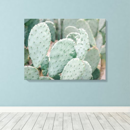 Botanische Tuin Cactus Canvas Afdruk (Insitu (Houten vloer))