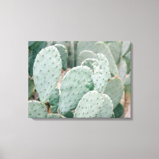 Botanische Tuin Cactus Canvas Afdruk (Voorkant)