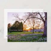 Botanische tuin in Sheffield Briefkaart (Voorkant / Achterkant)