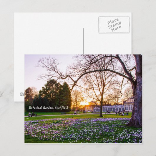Botanische tuin in Sheffield Briefkaart (Voorkant / Achterkant)