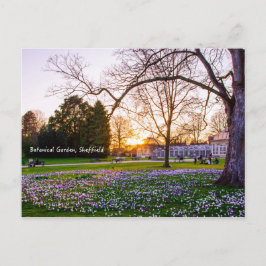Botanische tuin in Sheffield Briefkaart
