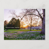 Botanische tuin in Sheffield Briefkaart (Voorkant)