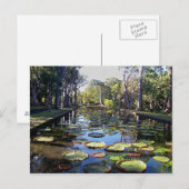 Botanische tuin Pamplemousses, eiland Mauritius Briefkaart (Voorkant / Achterkant)