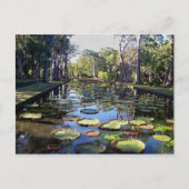 Botanische tuin Pamplemousses, eiland Mauritius Briefkaart (Voorkant)