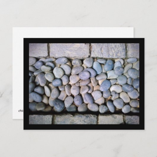 Botanische tuin van kuikens: rotspad briefkaart (Voorkant / Achterkant)