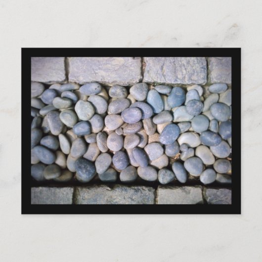 Botanische tuin van kuikens: rotspad briefkaart (Voorkant)