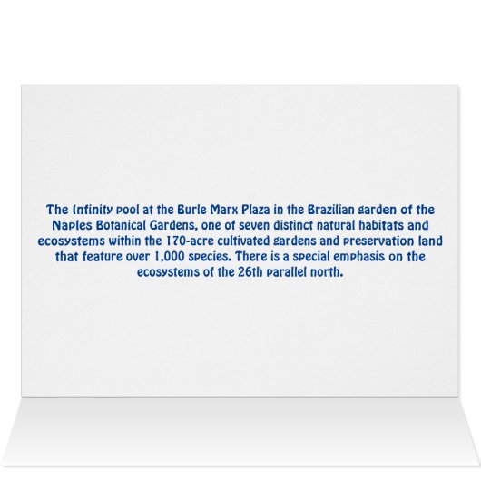 Botanische tuin van Napels - Infinity Pool (Binnen Horizontaal (Boven))