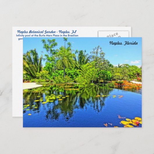 Botanische tuin van Napels - Infinity Pool Briefkaart (Voorkant / Achterkant)