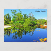 Botanische tuin van Napels - Infinity Pool Briefkaart (Voorkant)