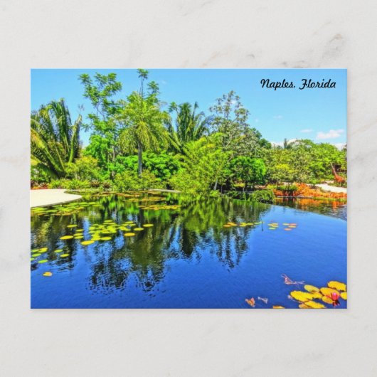Botanische tuin van Napels - Infinity Pool Briefkaart (Voorkant)