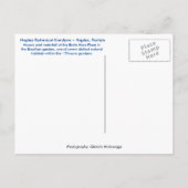 Botanische tuin van Napels - Mozaïsche muur Briefkaart (Achterkant)