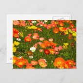 Botanische tuinen briefkaart (Voorkant / Achterkant)