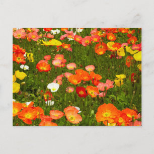 Botanische tuinen briefkaart