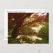 Botanische tuinen briefkaart (Voorkant / Achterkant)