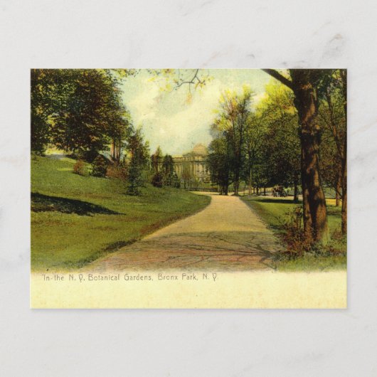 Botanische tuinen, Bronx New York 1905  Briefkaart (Voorkant)