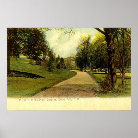 Botanische tuinen, Bronx New York 1905  Poster (Voorkant)
