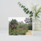 botanische tuinen canberra briefkaart (Staand voorkant)