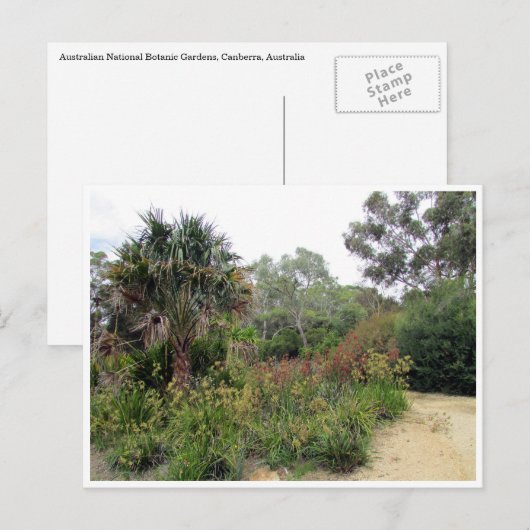 botanische tuinen canberra briefkaart (Voorkant / Achterkant)