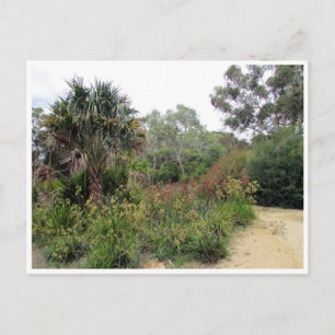 botanische tuinen canberra briefkaart