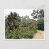 botanische tuinen canberra briefkaart (Voorkant)