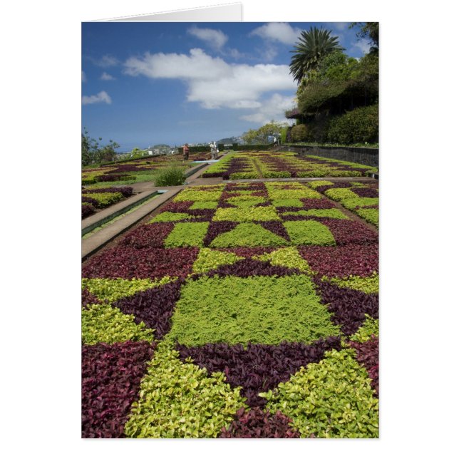 Botanische tuinen, Funchal, Madeira eilanden, (Voorkant)