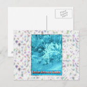 Botanische tuinen in Boston Briefkaart (Voorkant / Achterkant)