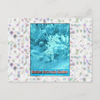Botanische tuinen in Boston Briefkaart