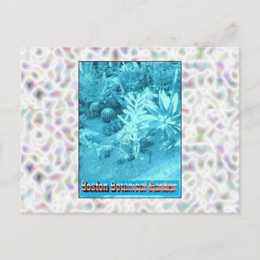 Botanische tuinen in Boston Briefkaart (Voorkant)