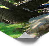 Botanische tuinen, Stream, Footbridge Poster (Hoek)