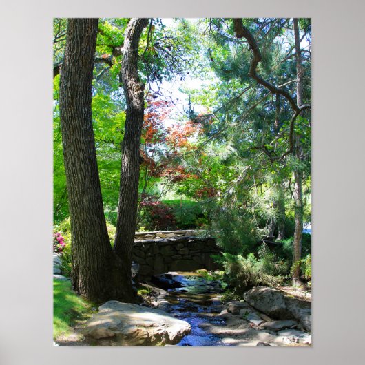 Botanische tuinen, Stream, Footbridge Poster (Voorkant)
