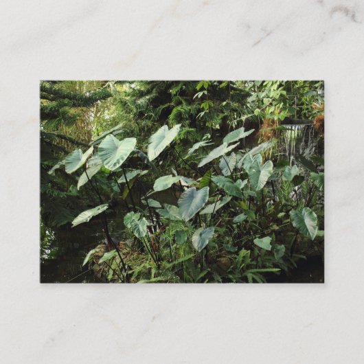 Botanische tuinen visitekaartje (Voorkant)