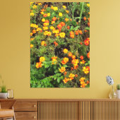botanische tuinfoto canvas afdruk (Insitu (Woonkamer))