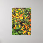 botanische tuinfoto canvas afdruk (Voorkant)