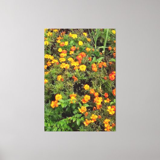 botanische tuinfoto canvas afdruk (Voorkant)