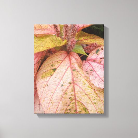 Botanische tuinkunst canvas afdruk (Voorkant)