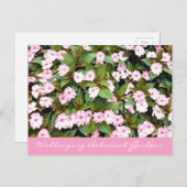 Botanische tuinroze bloemen NSW Briefkaart (Voorkant / Achterkant)