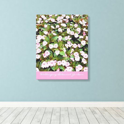 Botanische tuinroze bloemen NSW Canvas Afdruk (Insitu (Houten vloer))