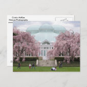 Botanische tuinroze waskerry uit New York Briefkaart (Voorkant / Achterkant)