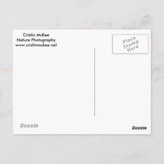 Botanische tuinroze waskerry uit New York Briefkaart (Achterkant)