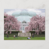 Botanische tuinroze waskerry uit New York Briefkaart (Voorkant)