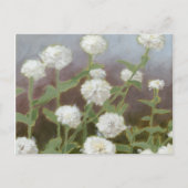 Botanische tuinstudie I Briefkaart (Voorkant)