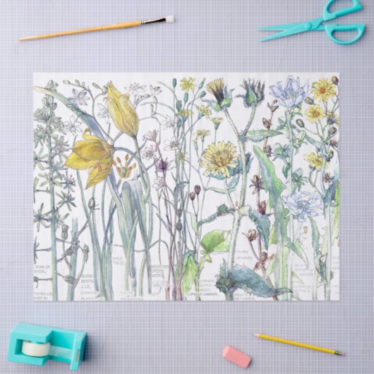 Botanische tulpbloem Vloeibaar papier (Craft)