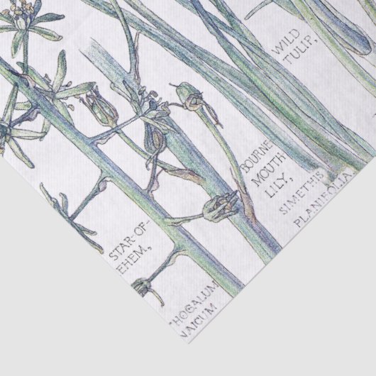 Botanische tulpbloem Vloeibaar papier (Detail)